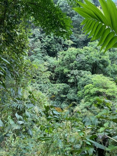 self guided tour costa rica