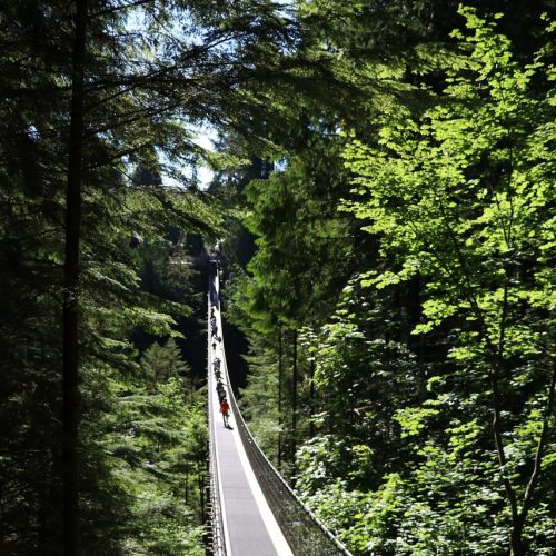 bridge, capilano, north vancouver-7382439.jpg